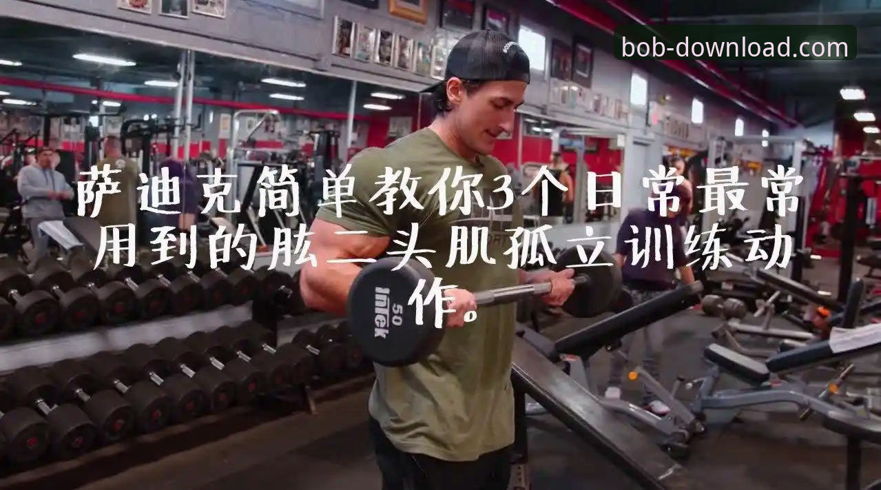 半岛BOB体育：半岛·bob官方网站正版下载与使用完整指南