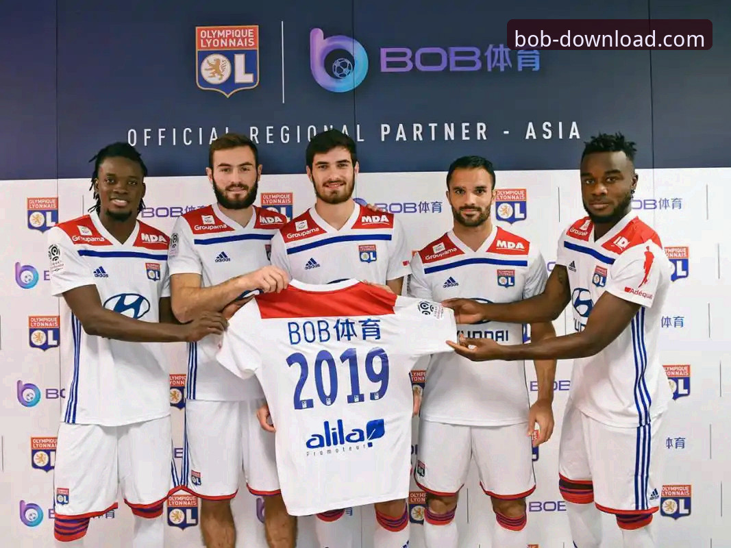 半岛BOB体育官网入口与App下载：哪种方式更适合你？一份详尽使用指南